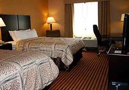 Double Room with Two Double Beds - Non-Smoking