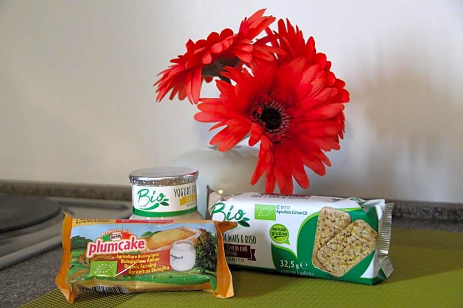 Green Class Hotel Candiolo