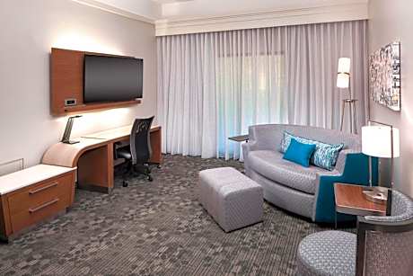 One-Bedroom King Suite with Balcony and Sofa Bed
