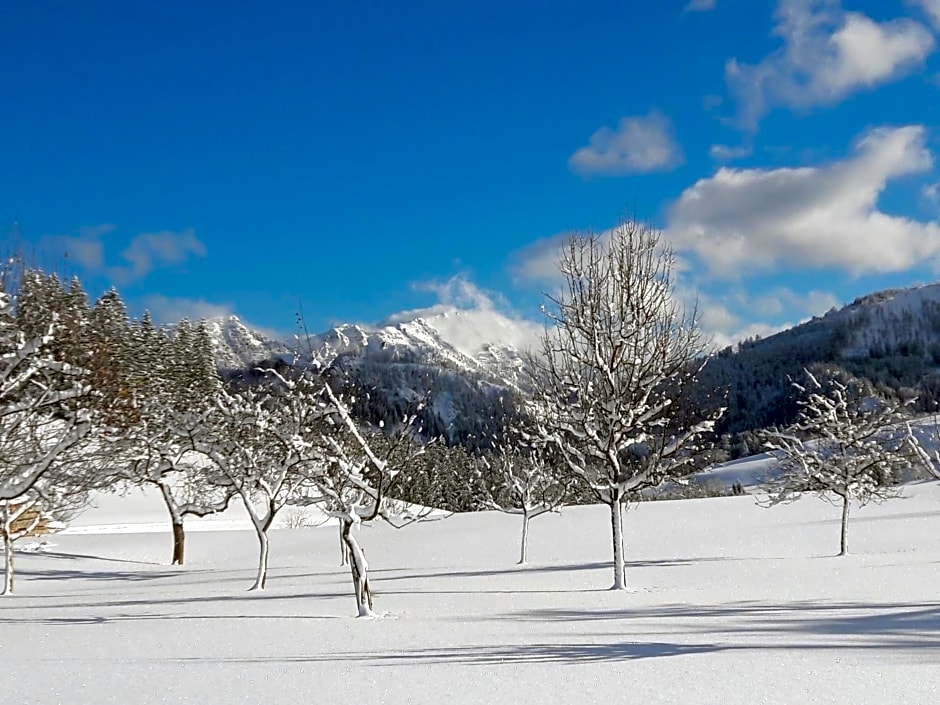 Biobauernhof Obereck
