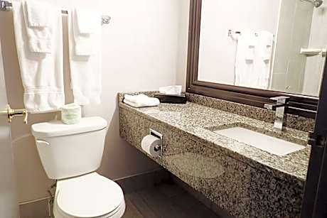 1 Queen Bed Deluxe Room Non-Smoking