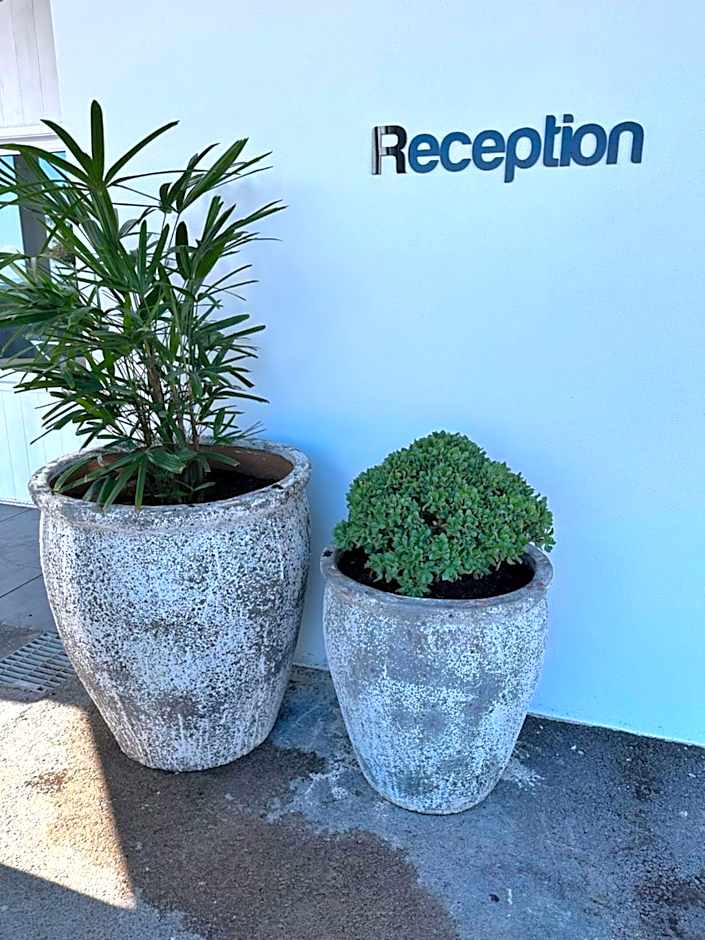 Surf Beach Motel Newcastle