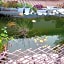 Le Clos des Passiflores