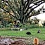 Blair Athol Homestead