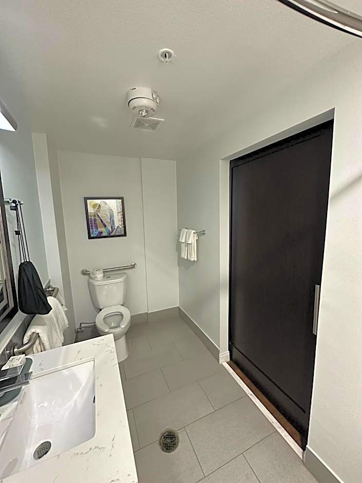 Holiday Inn Express - Dallas Downtown By IHG