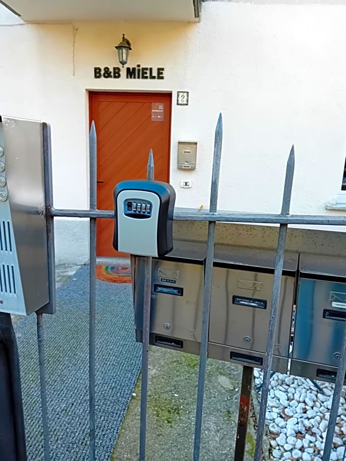 B&B Miele