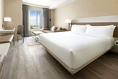 Executive King Room with Sofa Bed