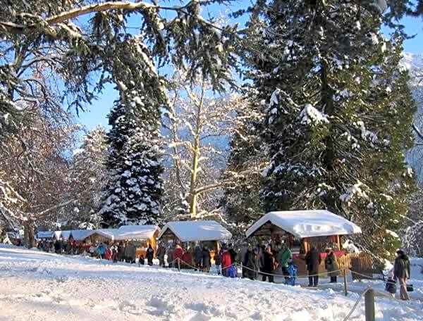 Nature Bio Hotel Elite