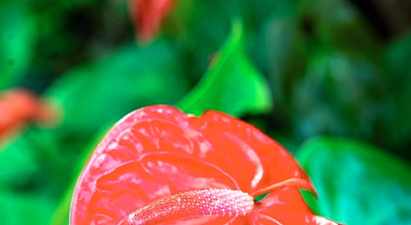 Marine Tourist  Guest House