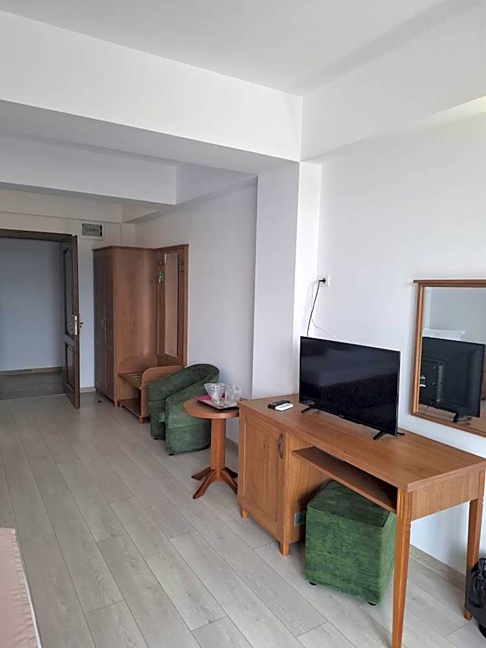 Hotel Insula