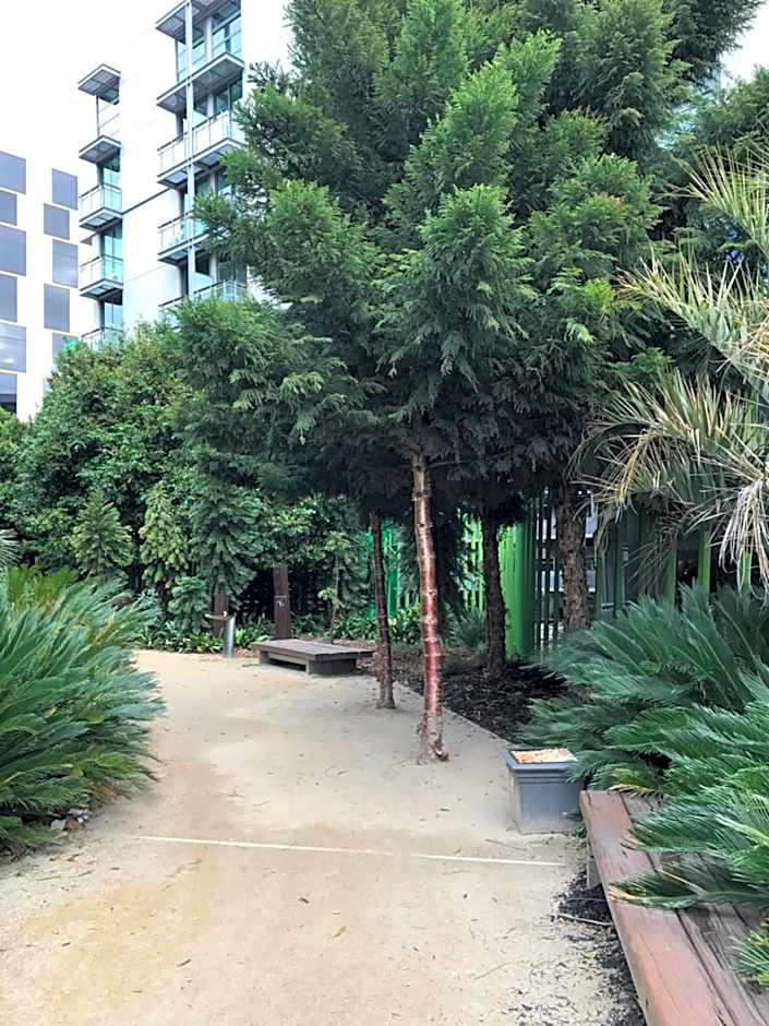 City Harbour Apartments
