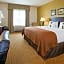 Holiday Inn Madison at The American Center by IHG