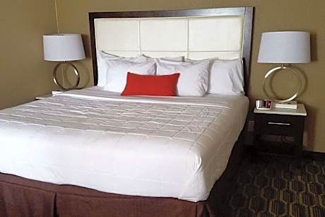 King Studio Suite - Non-Smoking