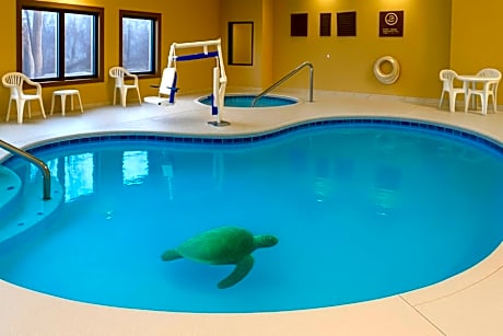 Vista Suites Near Island and Leconte Convention Center