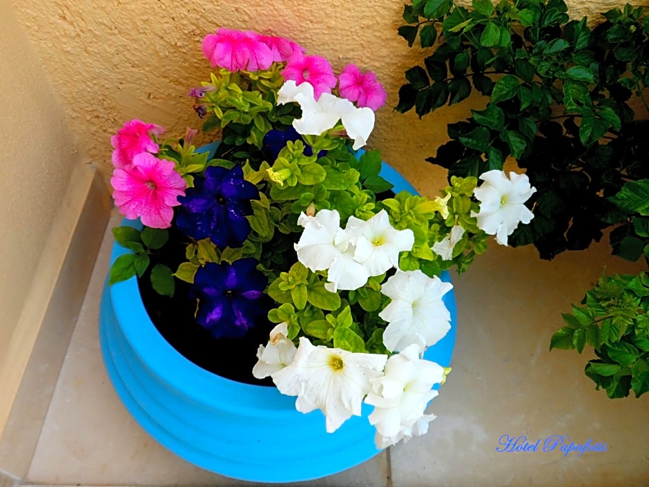 Papafotis Apartments & Suites