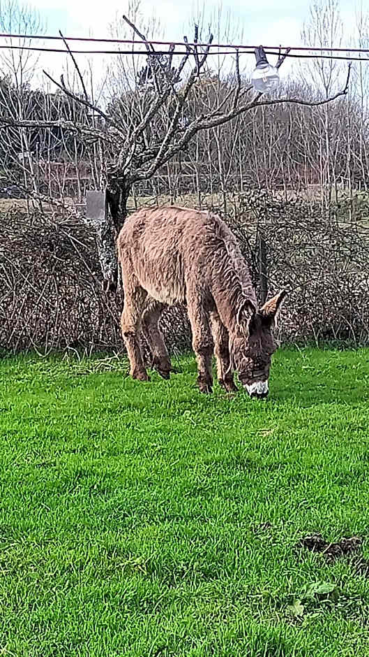 Casa da Avó Miquinhas