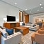 Holiday Inn Express Houston Galleria Area By IHG