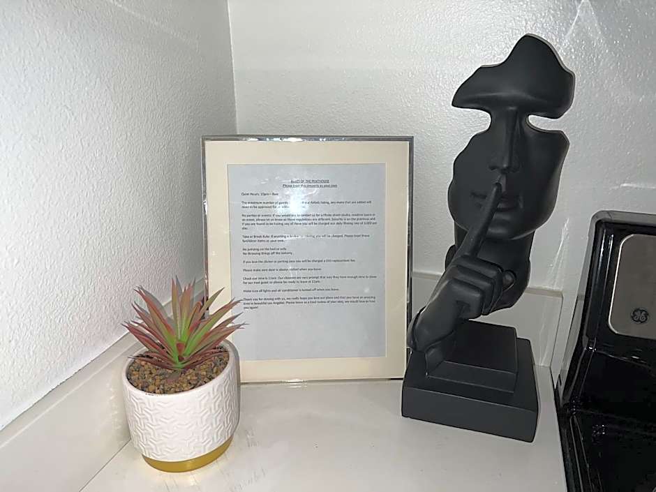 Downtown Los Angeles Skyline balcony view Modern Penthouse