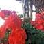 B&B Al Castel
