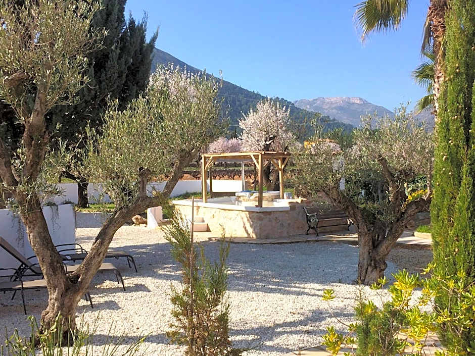 Buena Idea - Adults Only