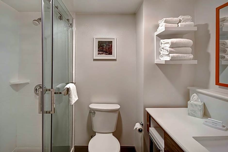 Hampton Inn By Hilton Birmingham-Colonnade 280