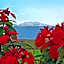 Ocean view Mauna Loa Shores Kai Ekahi #201 next to Carlsmith Beach Park Hilo HI
