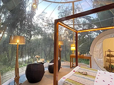 Bubble Lemon Double Room