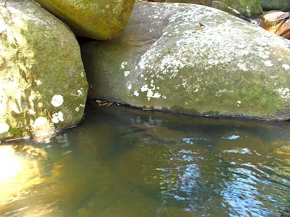 Ytororô O som das águas