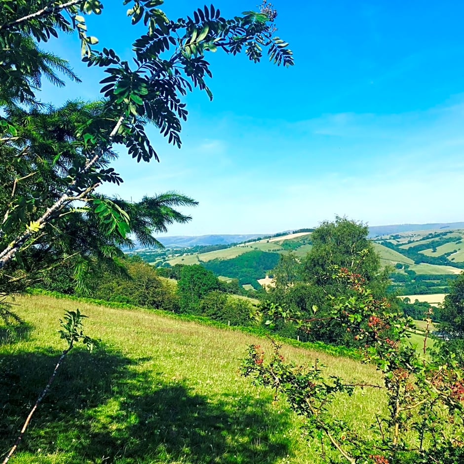 Belan Bluebell Woods Shepherds Hut