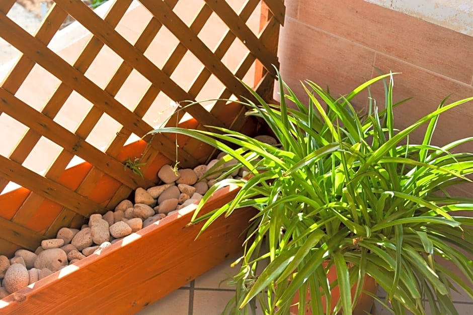 Salenterra B&B (Salento)