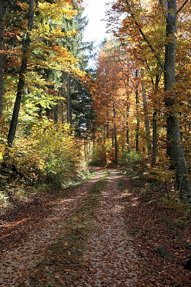 Sontheimer Wirtshäusle