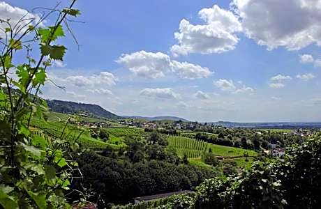 Holiday Inn Express - Offenburg By IHG