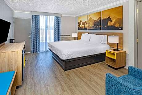 1 King Bed Mobility Accessible Room Roll-In Shower Non-Smoking