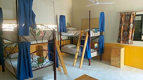 Bed in 6-Bed Mixed Dormitory Room