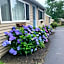 Northeaster Motel