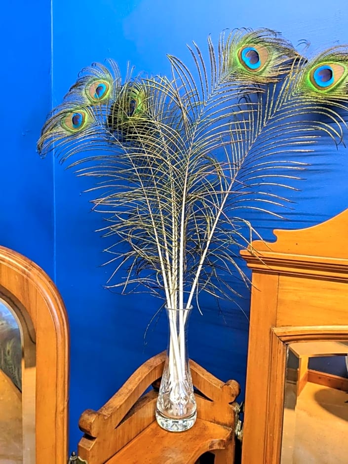 Farmhouse B&B Family stay or Romantic break, on our smallholding close to Narberth