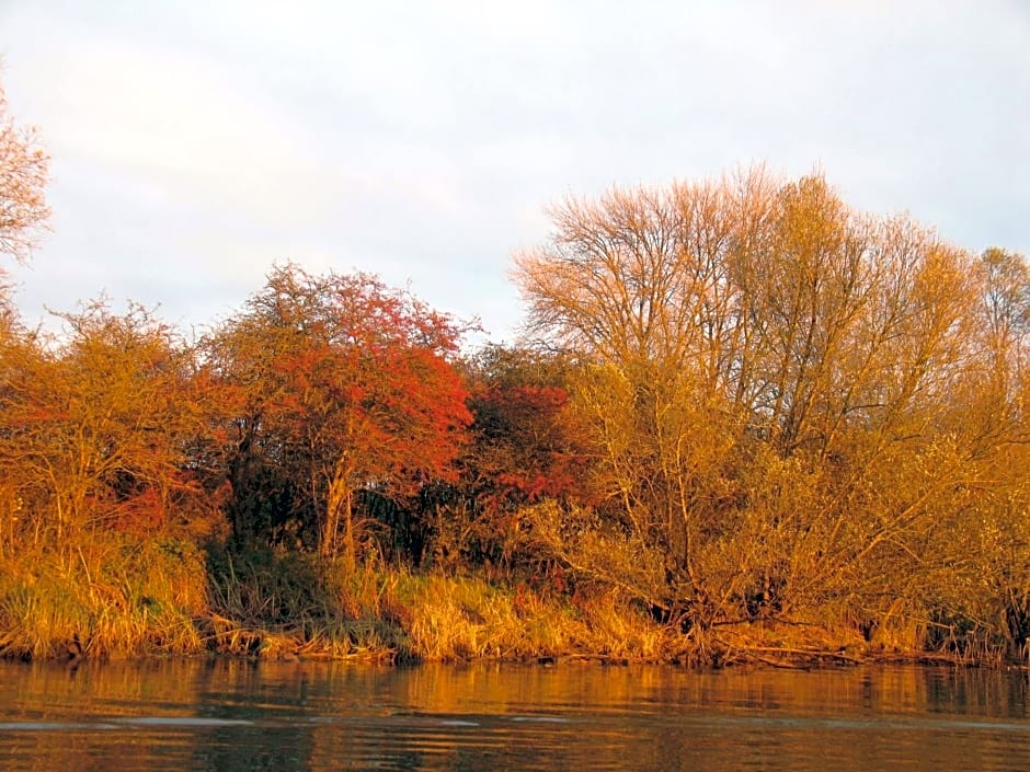 Bed and Breakfast De Biesbosch - in 't Riet