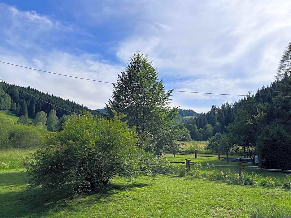 Drewniany Domek BB Nad Rzeką