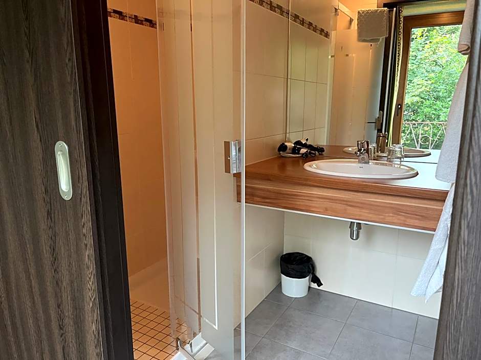 Logis Hotel Les Vosges