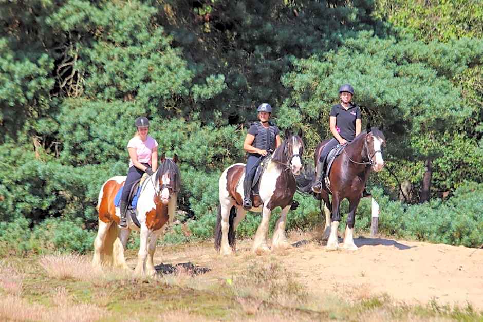 Magnolia Hoeve - Unieke Bestemming voor Paardenliefhebbers en Bijzondere Overnachtingen in de natuur