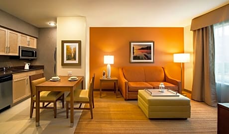 1 King Bed Studio Suite Nonsmoking