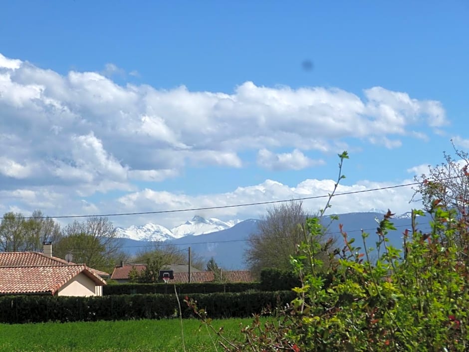Les Glycines