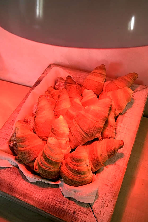 Delfina Palace Hotel