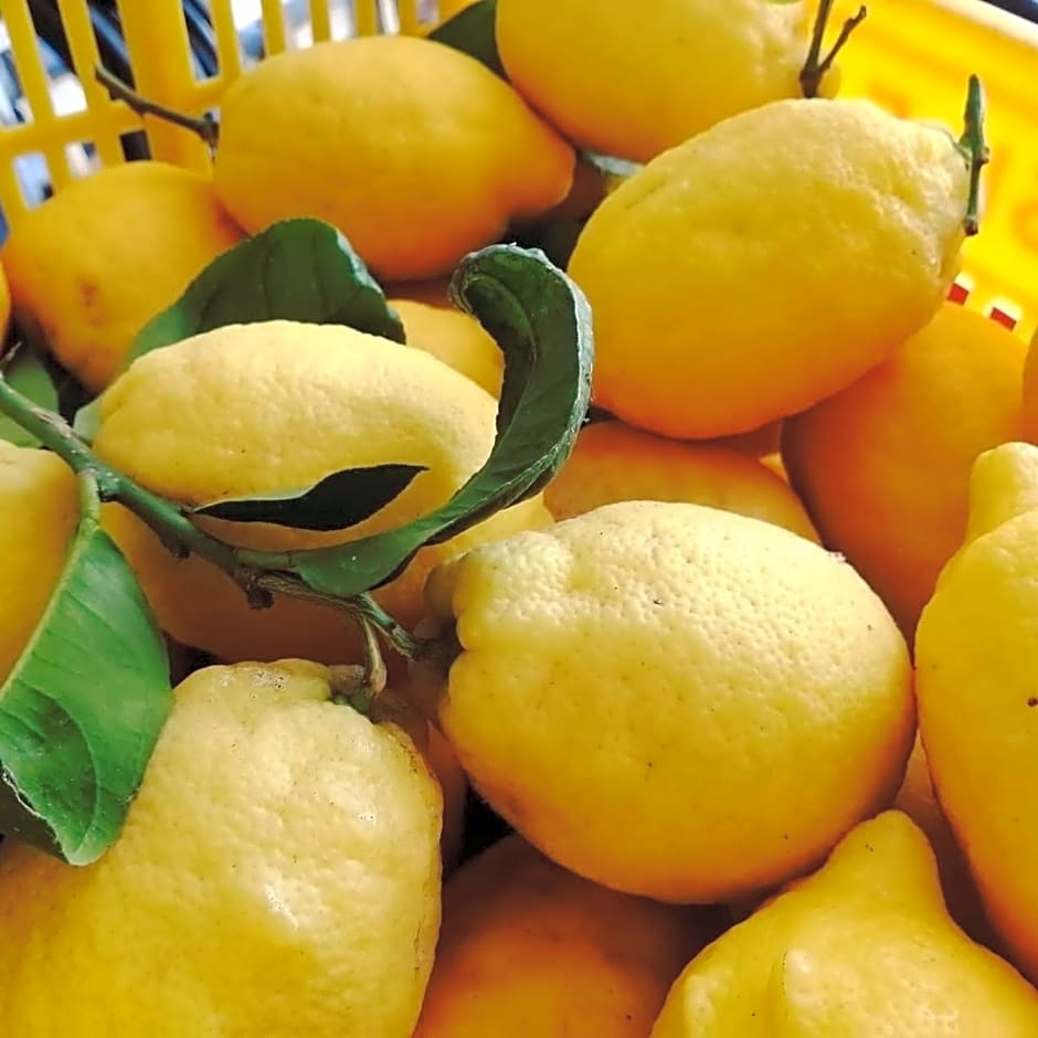 La Roccia Incantata Amalfi Coast