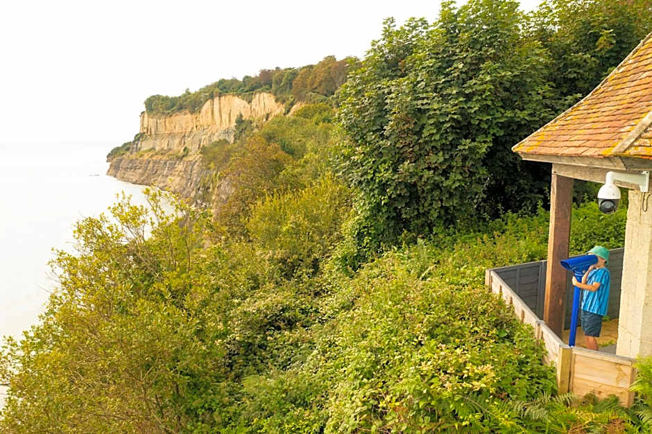 Luccombe Manor Country House Hotel