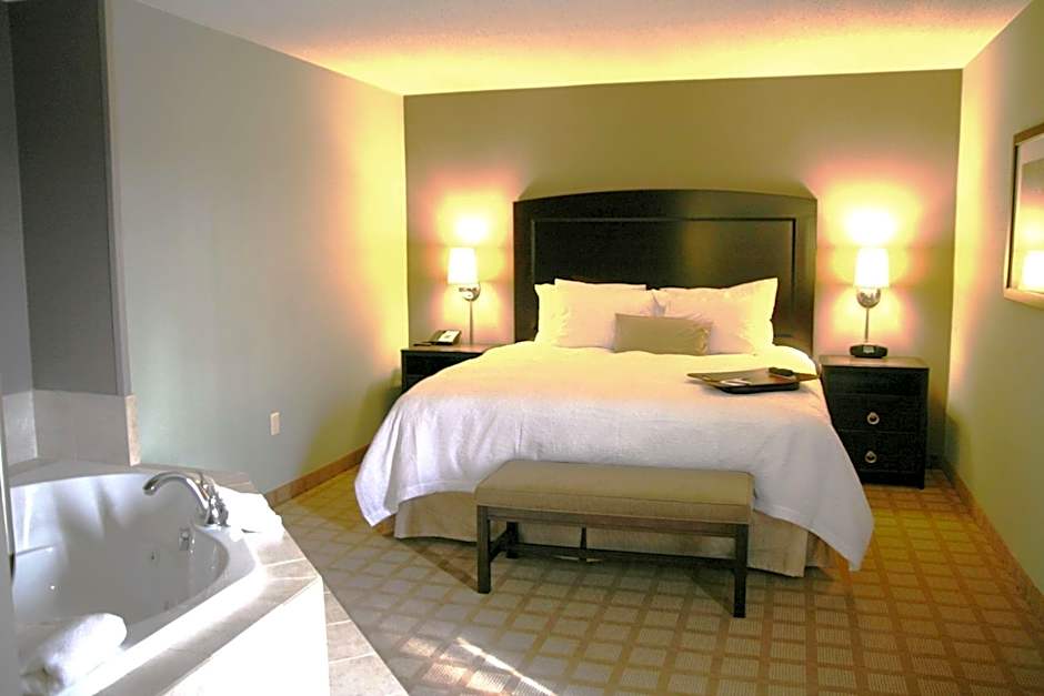 Hampton Inn By Hilton And Suites Detroit/Canton