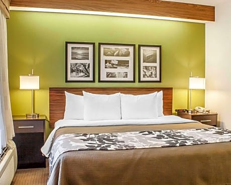 King Suite - Accessible/Non-Smoking