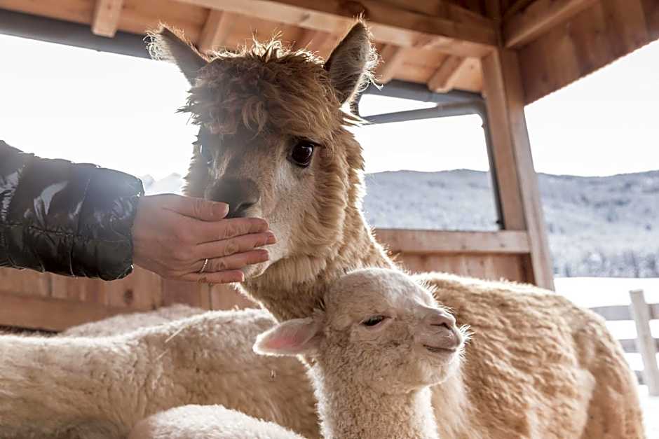 Aparthotel Familiaris - Family Apartments - Pools & Spa in Dolomites