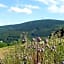 Rathaushotels Oberwiesenthal All Inclusive