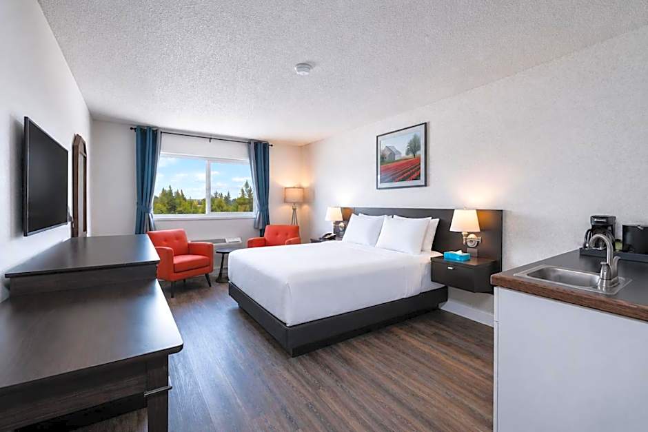 Hotel International